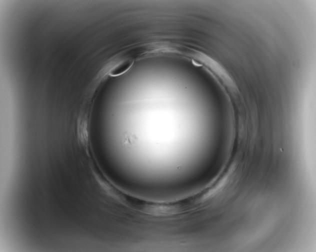 X0000098101241200804111016
