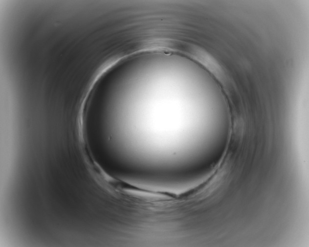 X0000098101242200804111016