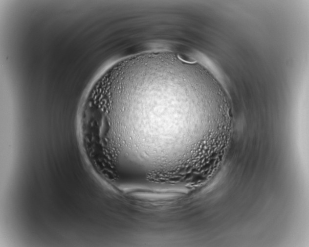 X0000098101243200804111016