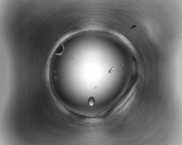 X0000098101246200804111016
