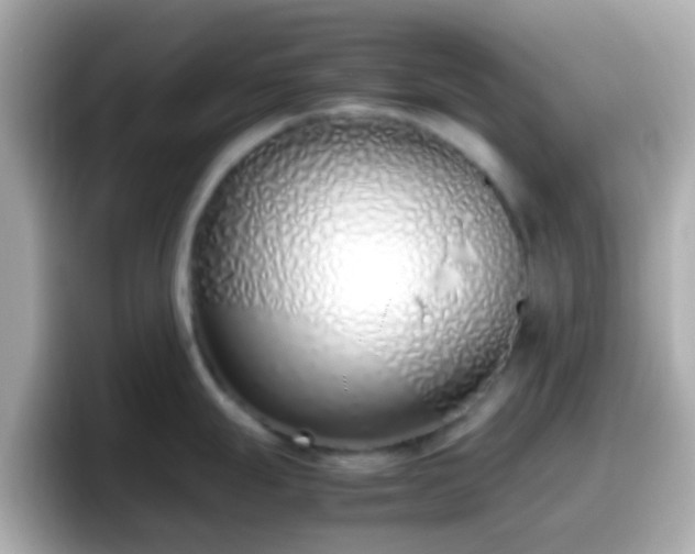 X0000098101247200804111016