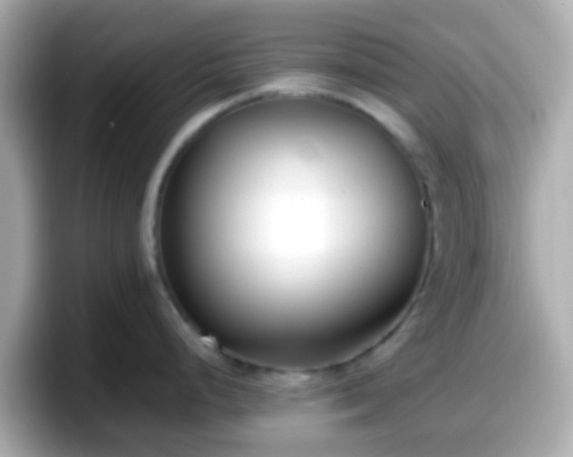X0000098101248200804111016