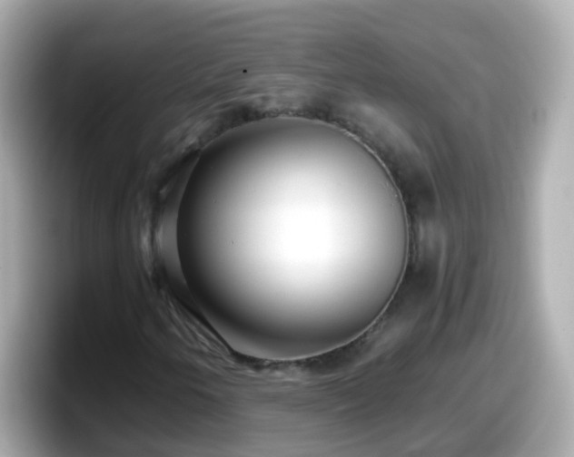 X0000098101250200804111016