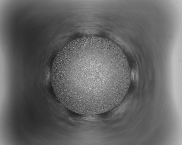 X0000098101251200804111016