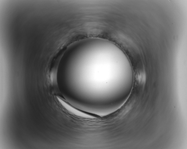 X0000098101252200804111016