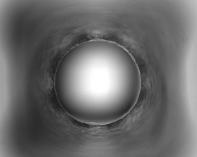 X0000098101253200804111016