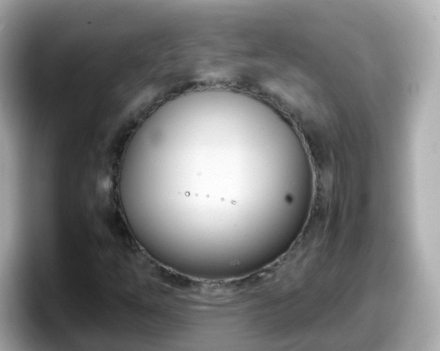 X0000098101254200804111016