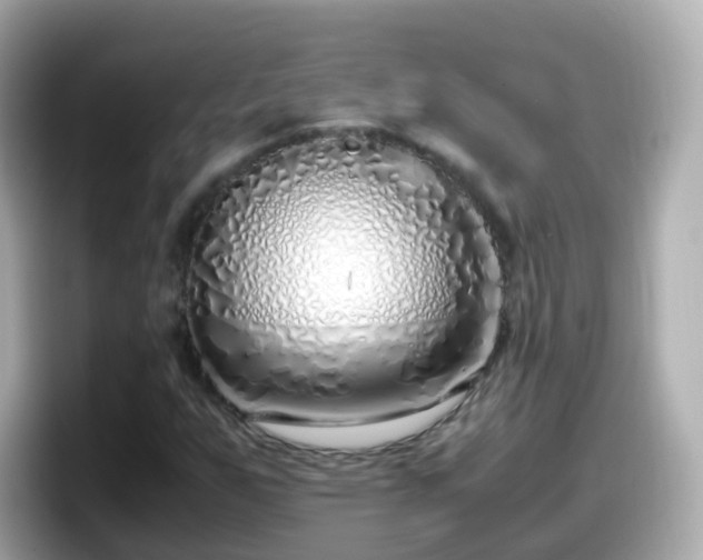 X0000098101255200804111016