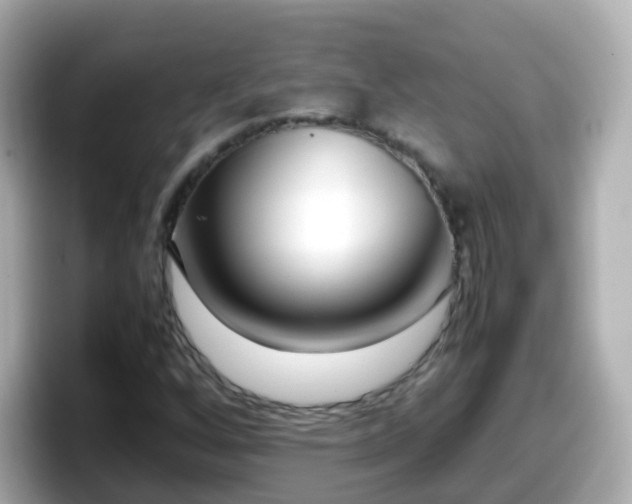 X0000098101256200804111016