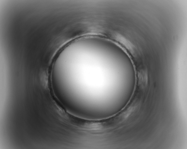 X0000098101260200804111015