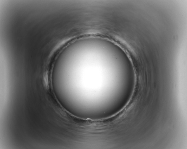 X0000098101262200804111015