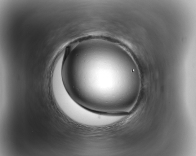 X0000098101263200804111015