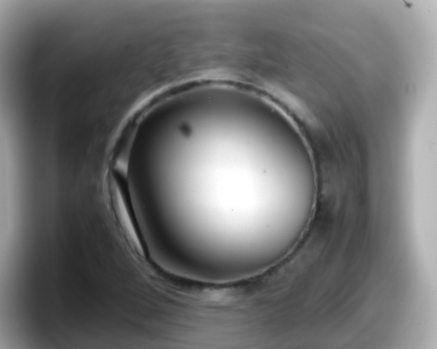 X0000098101264200804111015