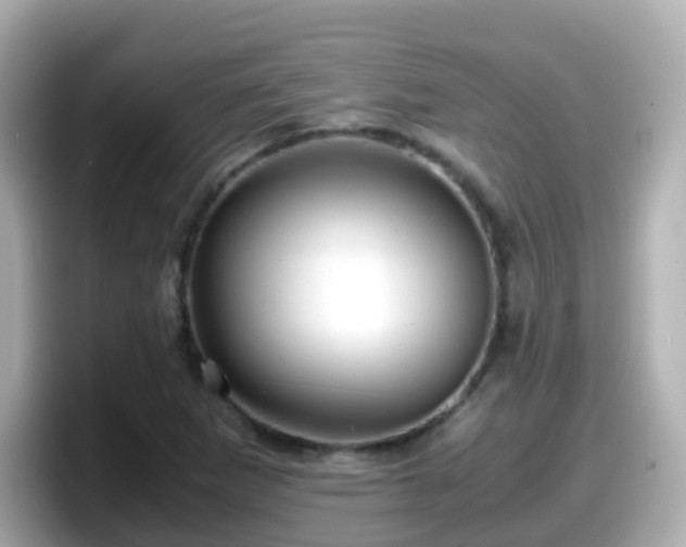 X0000098101265200804111015