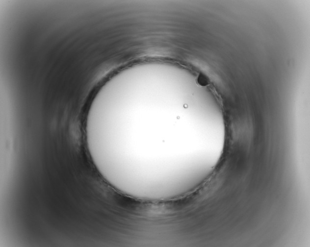 X0000098101266200804111015
