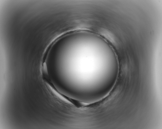 X0000098101268200804111015