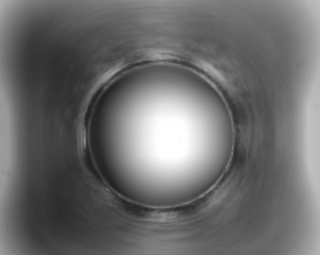 X0000098101269200804111015