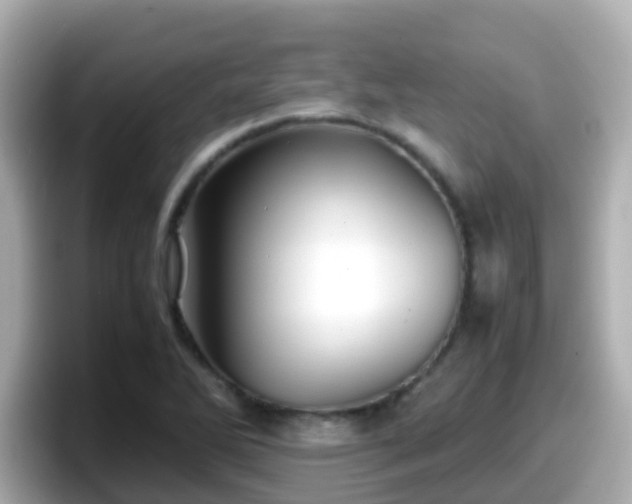 X0000098101270200804111015