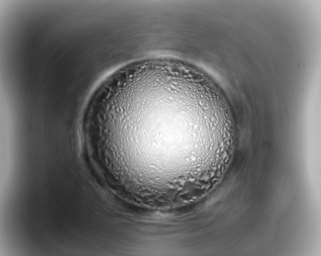 X0000098101271200804111015