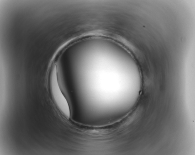 X0000098101272200804111015