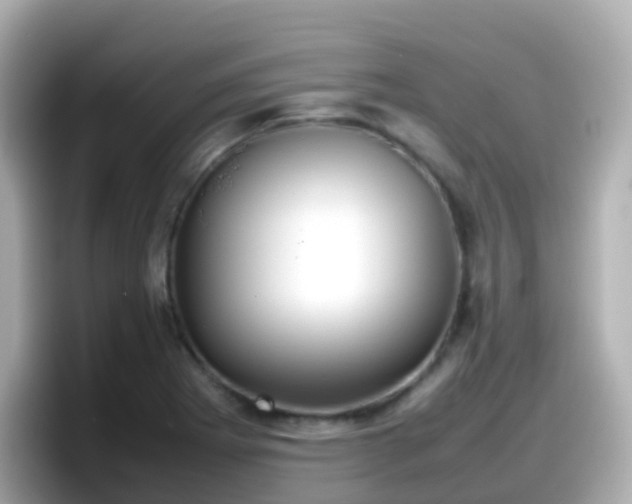X0000098101273200804111015