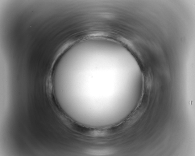 X0000098101274200804111015