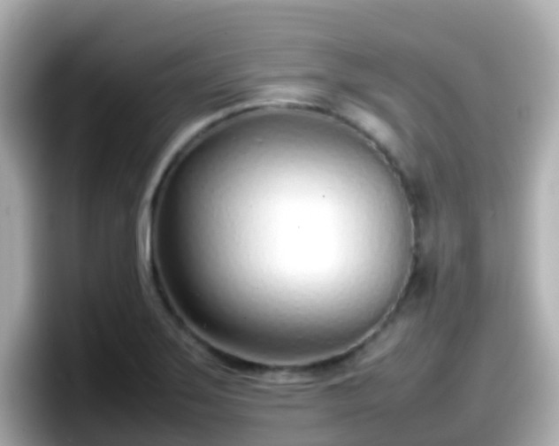 X0000098101275200804111015