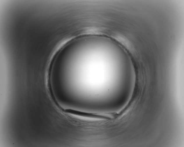 X0000098101277200804111015