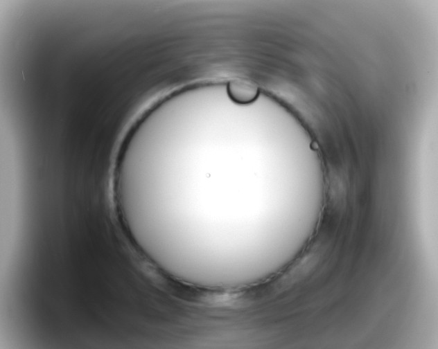 X0000098101278200804111015