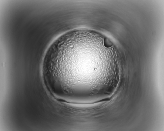 X0000098101279200804111015