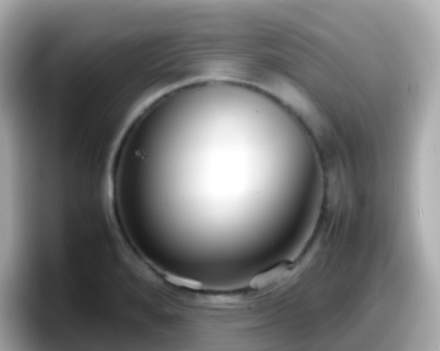 X0000098101280200804111015
