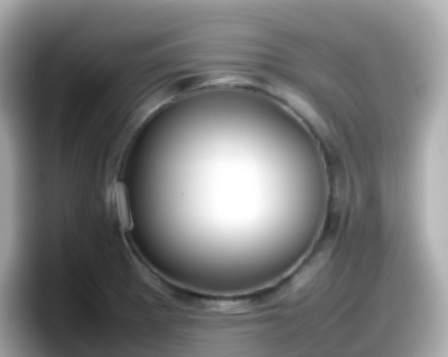 X0000098101281200804111015
