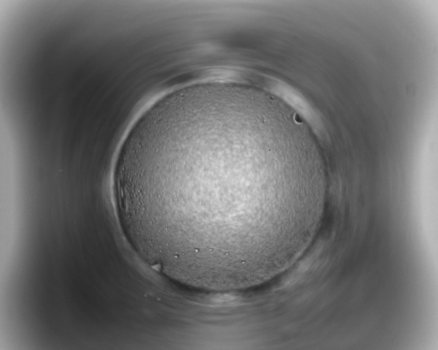 X0000098101283200804111015