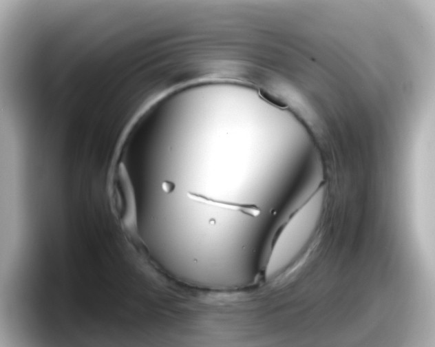 X0000098101284200804111015