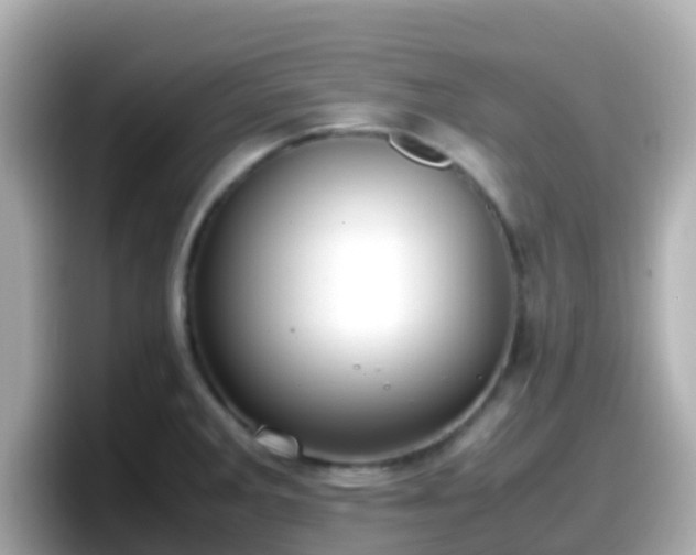 X0000098101285200804111015
