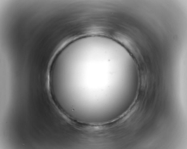 X0000098101286200804111015