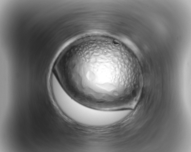 X0000098101287200804111015
