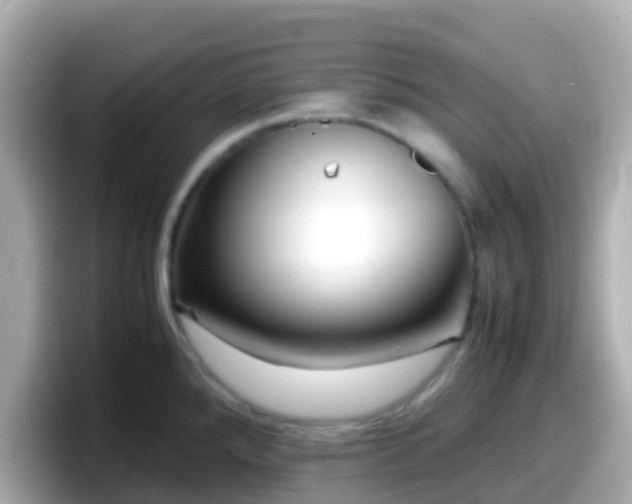 X0000098101288200804111015