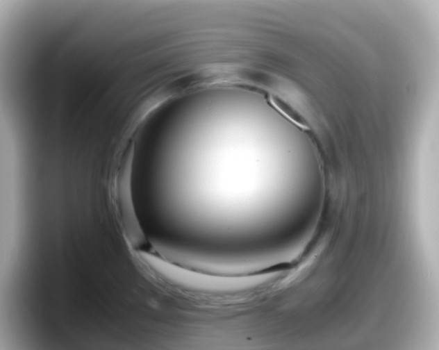 X0000098101289200804111015