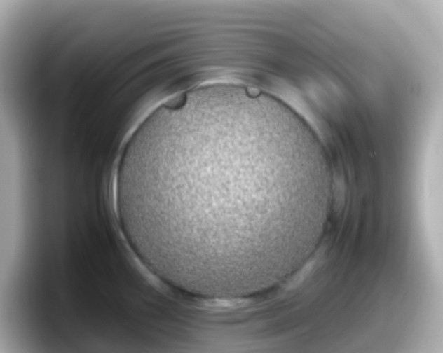 X0000098101290200804111015