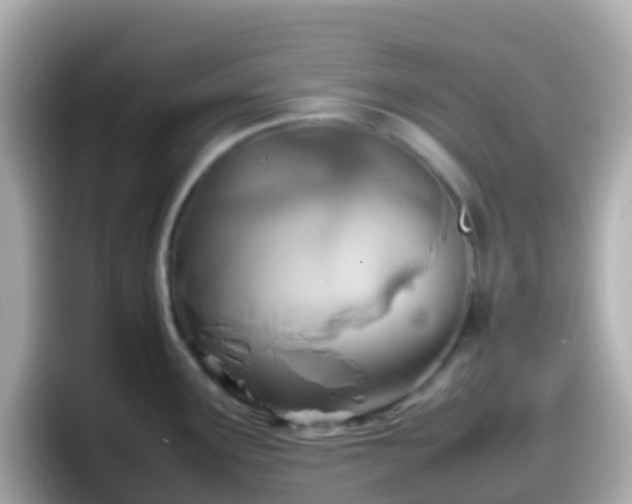 X0000098101291200804111015