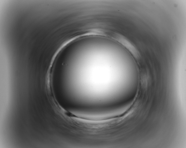 X0000098101292200804111015