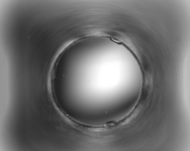 X0000098101293200804111015