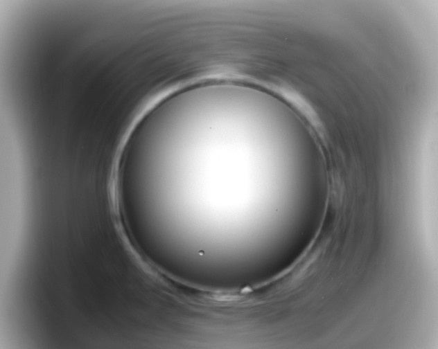 X0000098101295200804111015