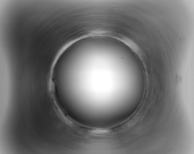 X0000098101296200804111015