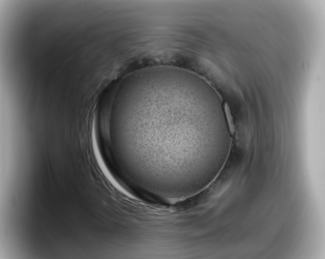 X0000098101298200804111014