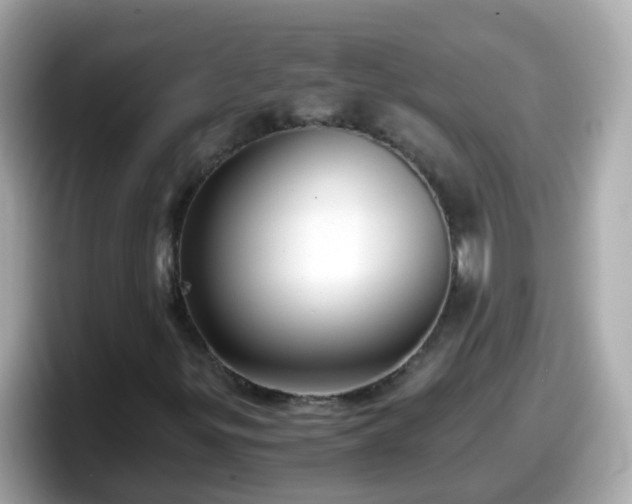 X0000098101299200804111014