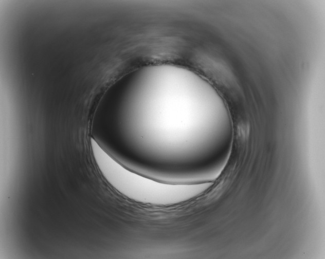 X0000098101300200804111014