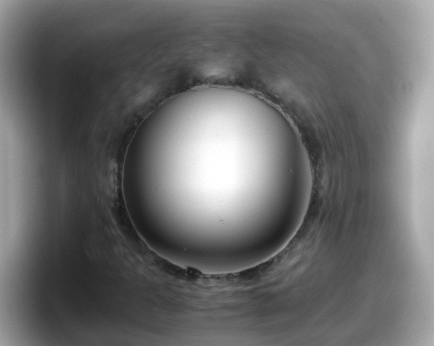 X0000098101301200804111014