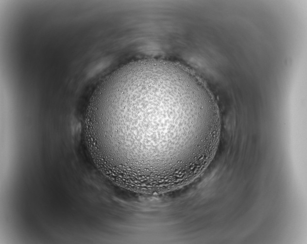 X0000098101302200804111014
